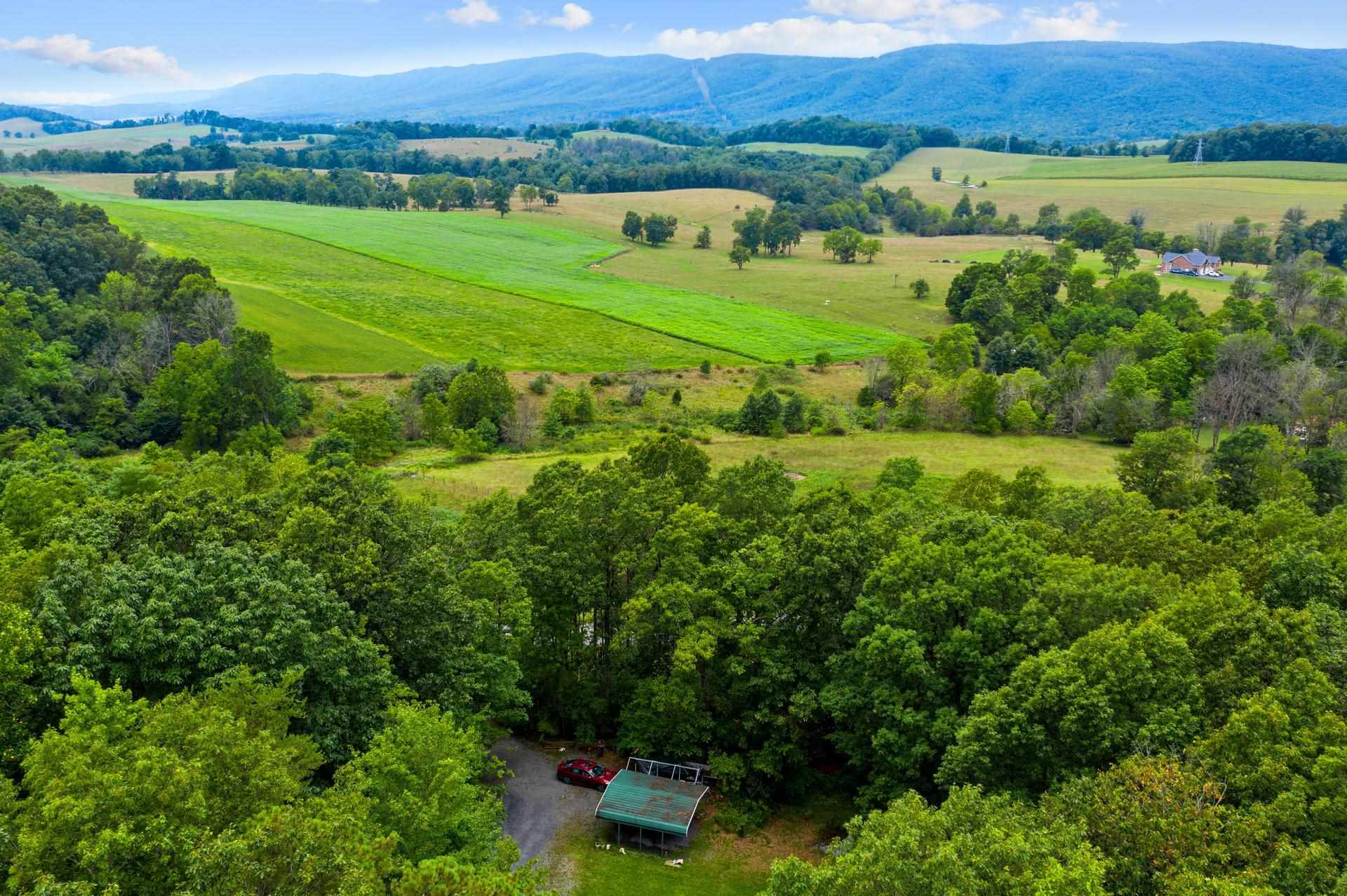 1372 Miller Farm Road Staunton, VA 24401 - Photo 5 of 27 front view of a house with a yard