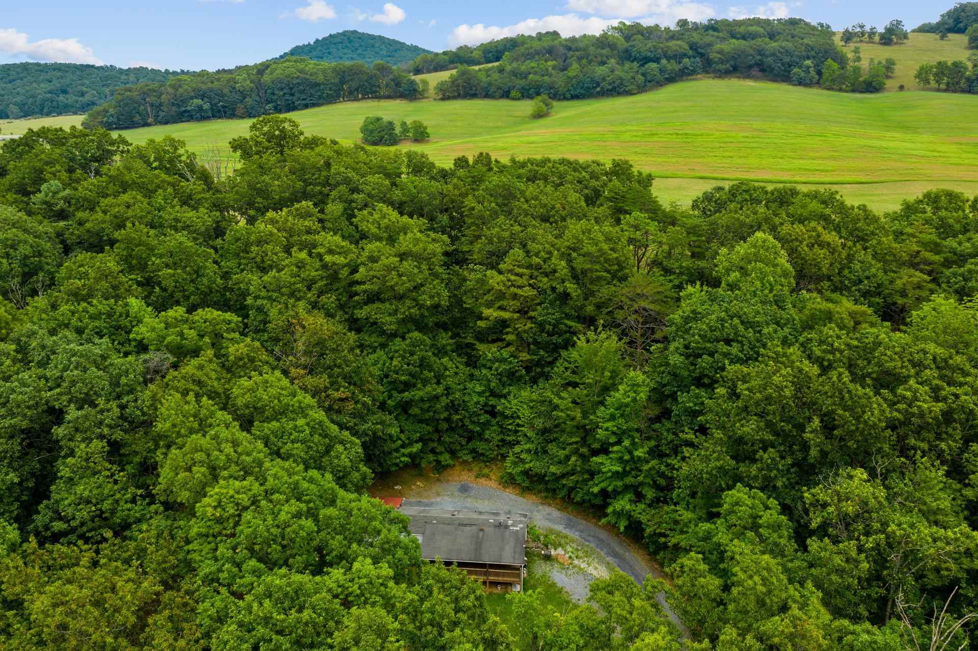 1372 Miller Farm Road Staunton, VA 24401 - Photo 6 of 27 a view of a green field with a lake view