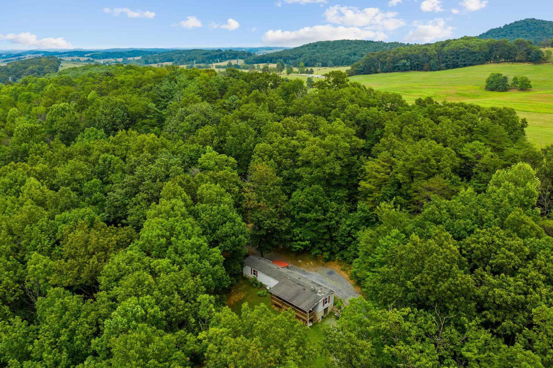 1372 Miller Farm Road Staunton, VA 24401 - Photo 7 of 27 a view of a lush green outdoor space with a lake view