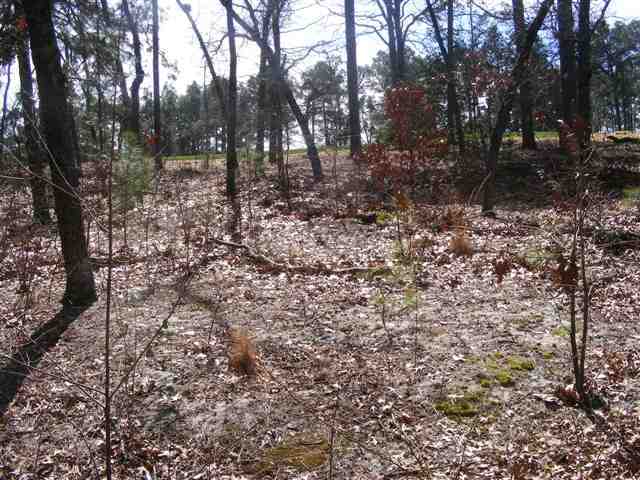 200 Inverrary Road Pinehurst, NC 28374 - Photo 5 of 5 Street view in winter.