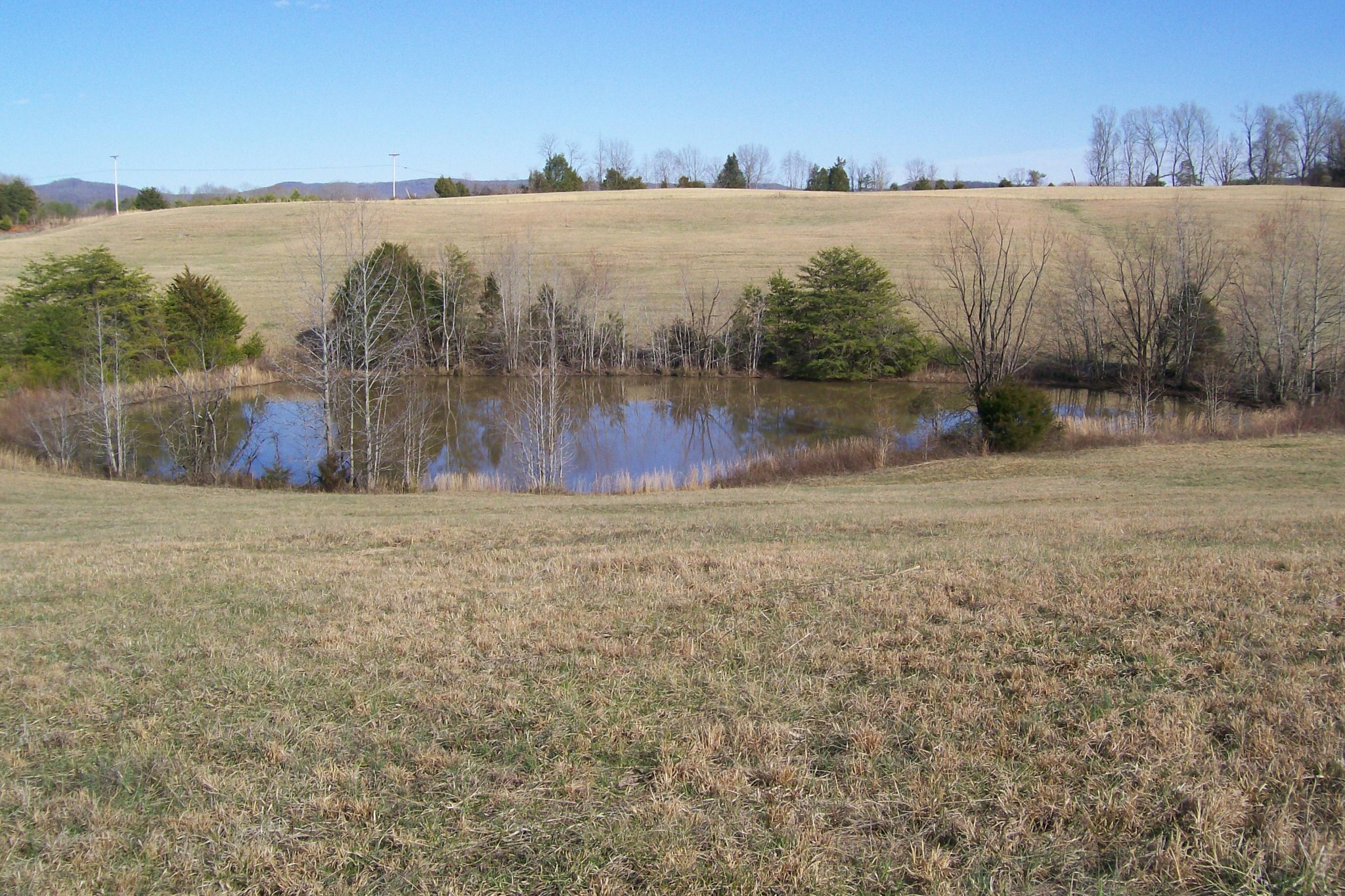 800 Goodbar Road Rock Island, TN 38581 - Photo 1 of 18 Gallery Image 1
