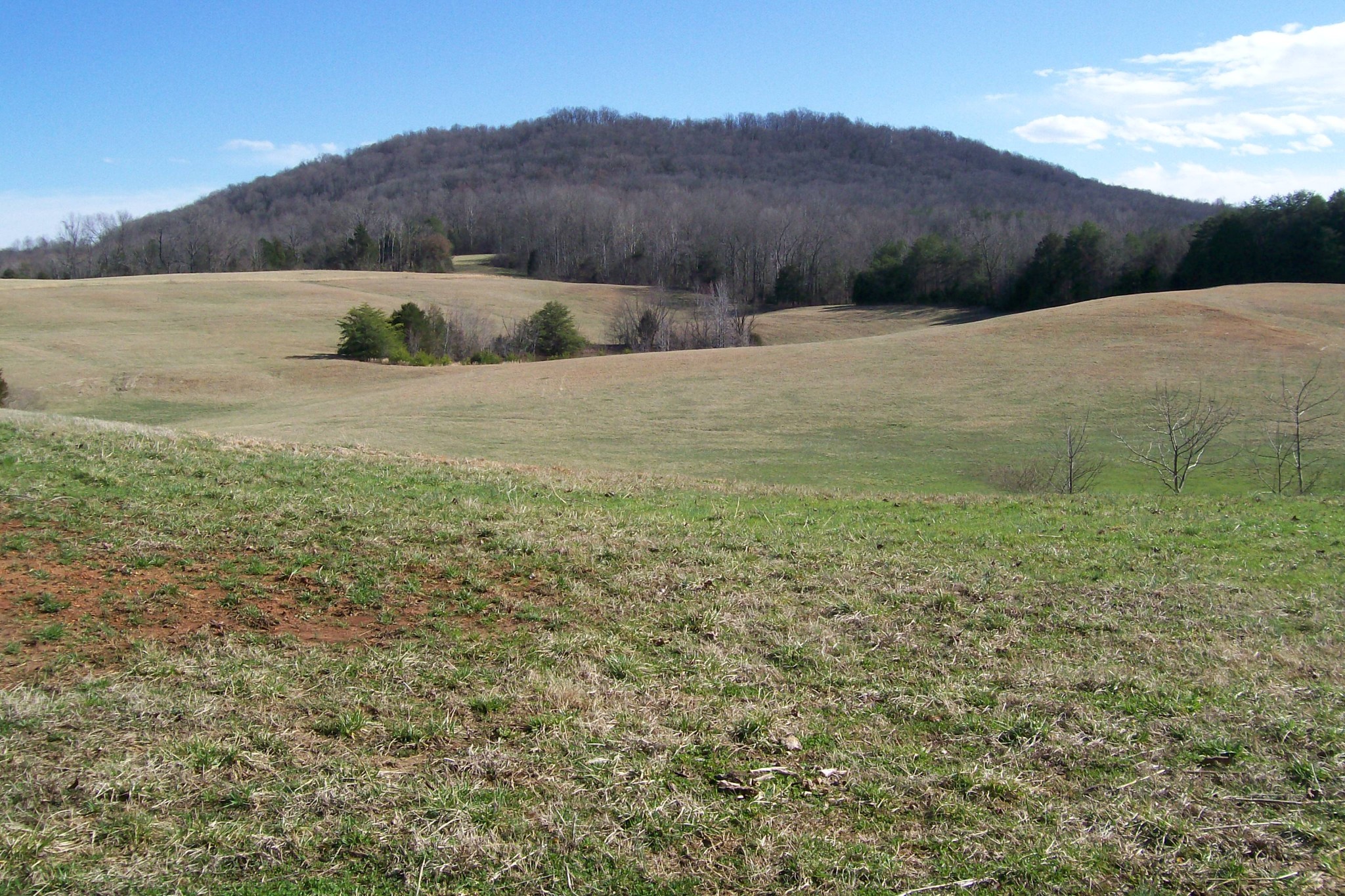 800 Goodbar Road Rock Island, TN 38581 - Photo 2 of 18 Gallery Image 2