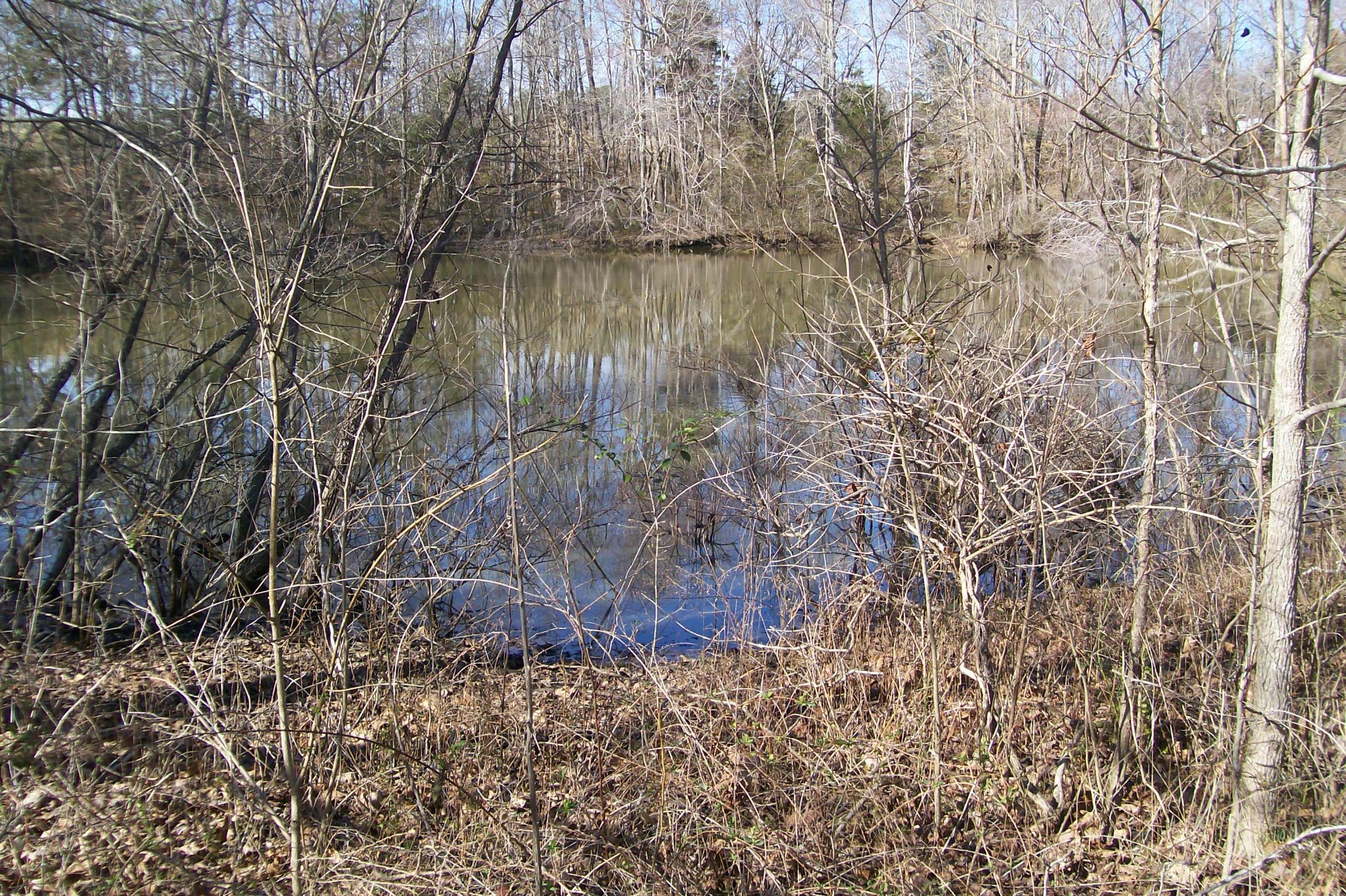 800 Goodbar Road Rock Island, TN 38581 - Photo 11 of 18 Gallery Image 11