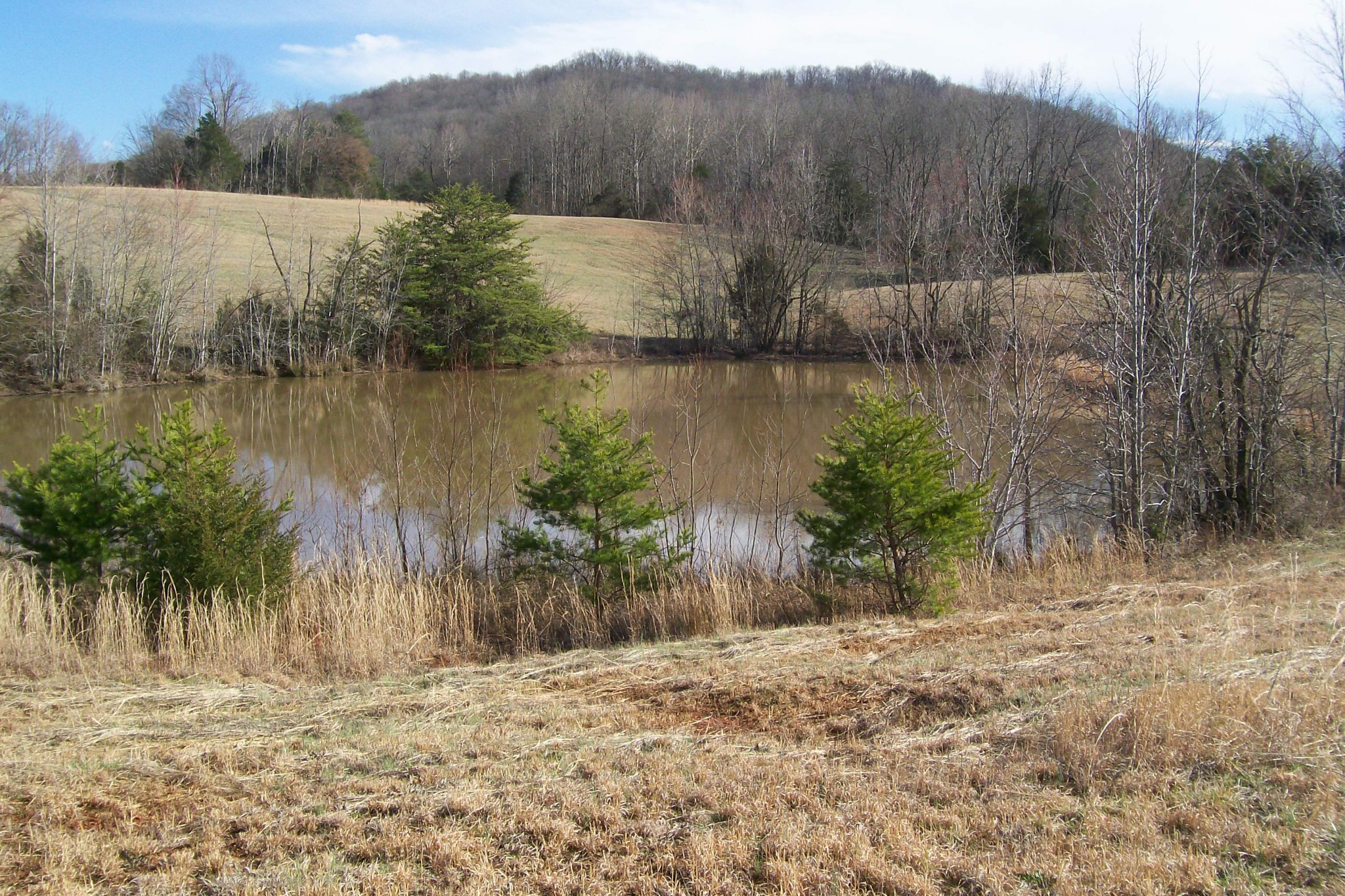 800 Goodbar Road Rock Island, TN 38581 - Photo 12 of 18 Gallery Image 12