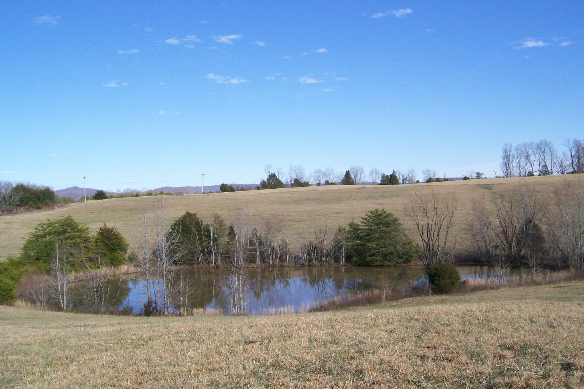 800 Goodbar Road Rock Island, TN 38581 - Photo 13 of 18 Gallery Image 13