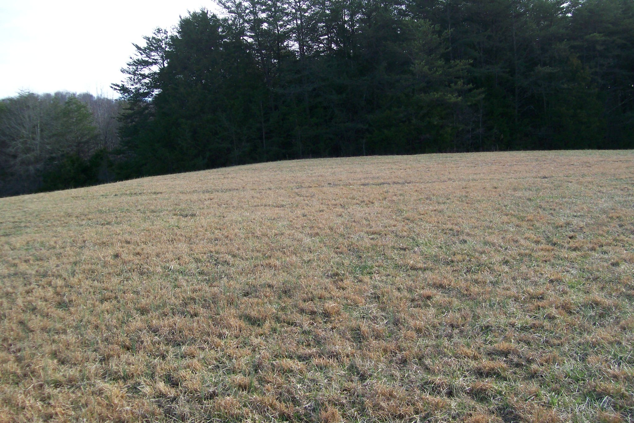 800 Goodbar Road Rock Island, TN 38581 - Photo 14 of 18 Gallery Image 14