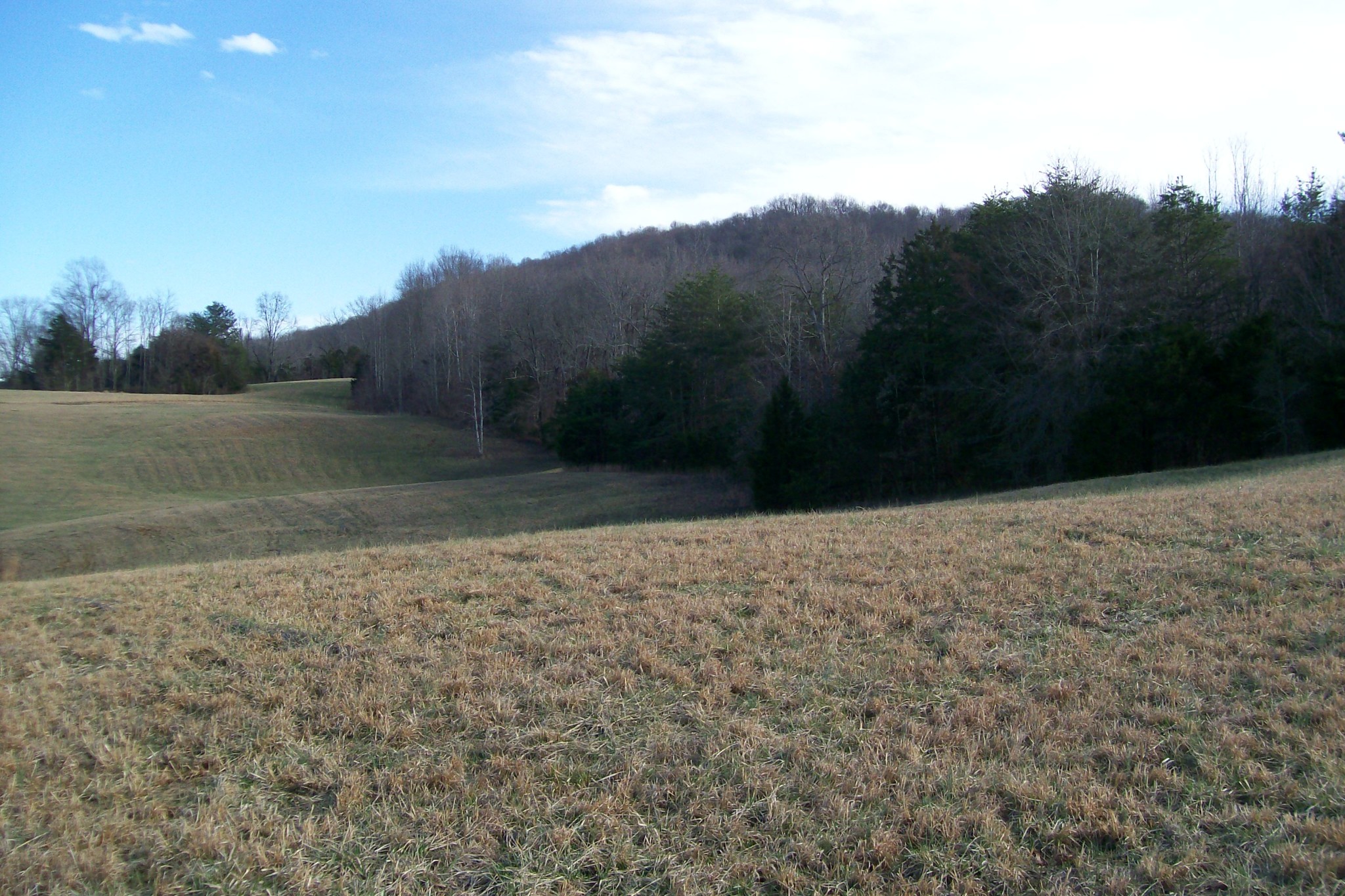 800 Goodbar Road Rock Island, TN 38581 - Photo 15 of 18 Gallery Image 15