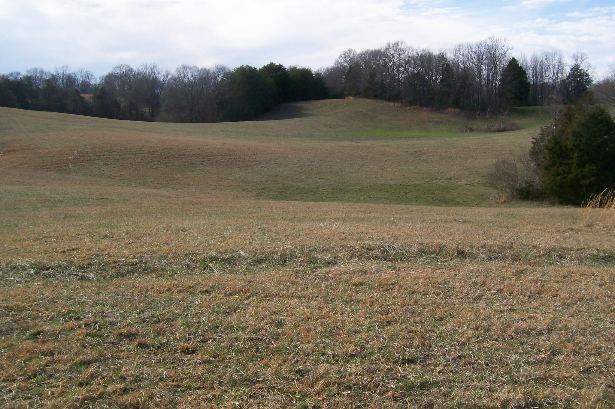 800 Goodbar Road Rock Island, TN 38581 - Photo 16 of 18 Gallery Image 16