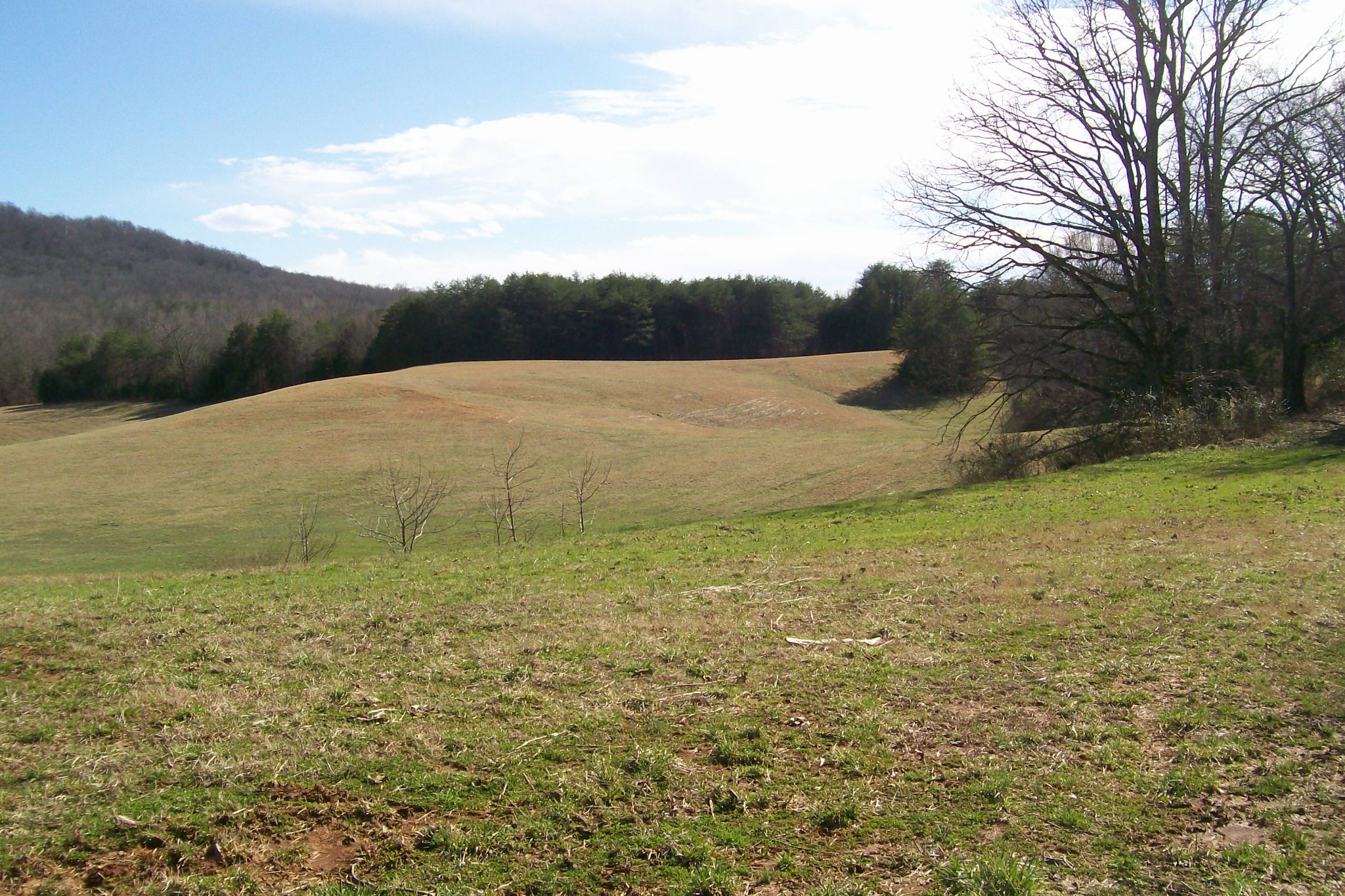 800 Goodbar Road Rock Island, TN 38581 - Photo 3 of 18 Gallery Image 3