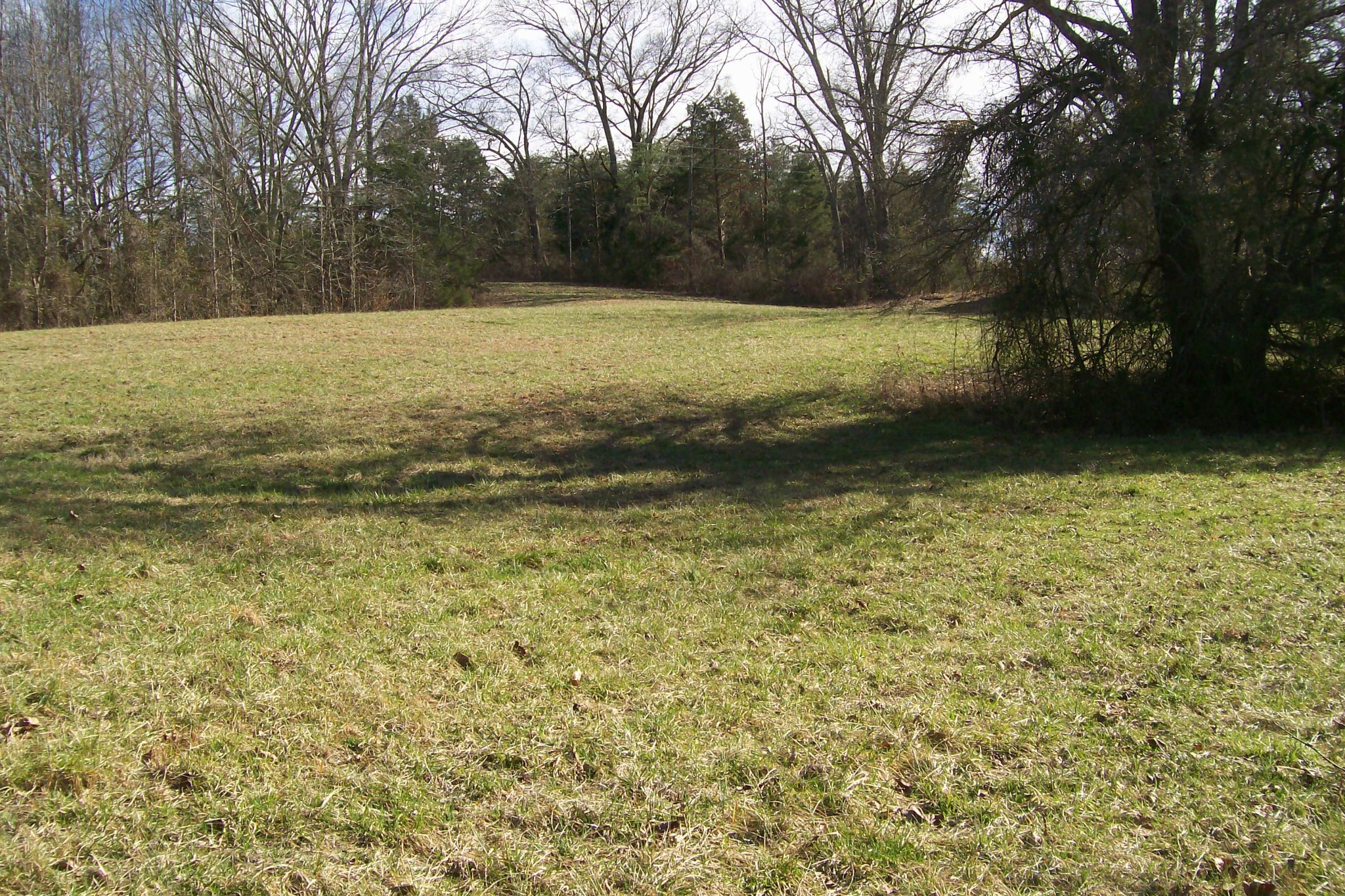 800 Goodbar Road Rock Island, TN 38581 - Photo 10 of 18 Gallery Image 10