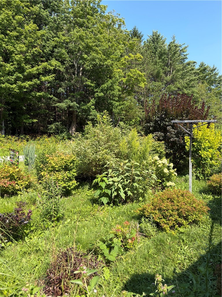 548 Shew Hollow Road Gilboa, NY 12167 - Photo 2 of 20 Gallery Image 2