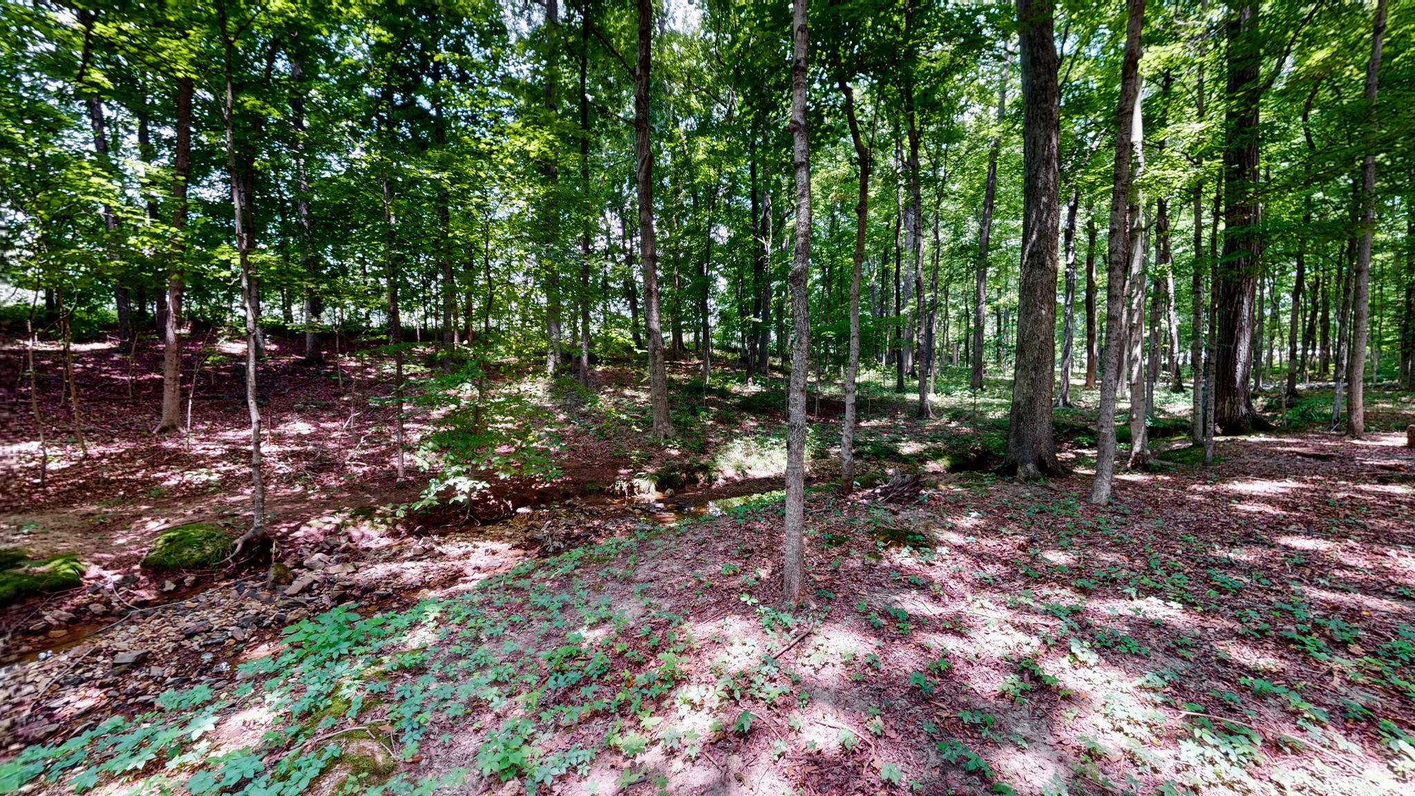 2450 New Hall Road Greenbrier, TN 37073 - Photo 34 of 45