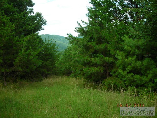 Lot 37 Phase 4 Heavenly Boone, NC 28607 - Photo 1 of 7 a view of a lush green space