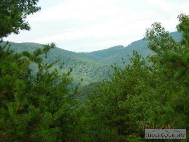 Lot 37 Phase 4 Heavenly Boone, NC 28607 - Photo 2 of 7 a view of a forest with a street
