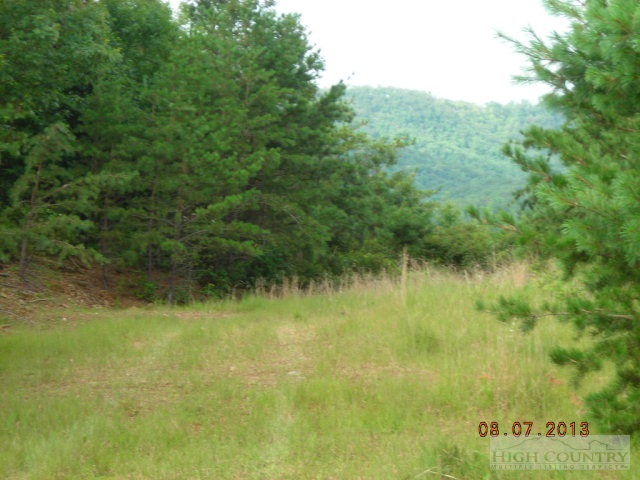 Lot 37 Phase 4 Heavenly Boone, NC 28607 - Photo 3 of 7 a view of a yard