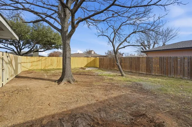 a view of backyard with large tree