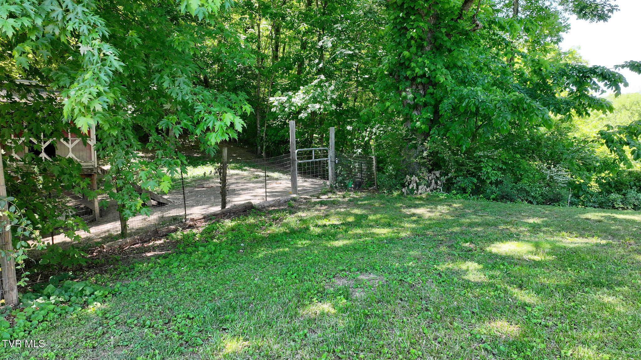 1475 Davis Valley Road Afton, TN 37616 - Photo 42 of 67 42