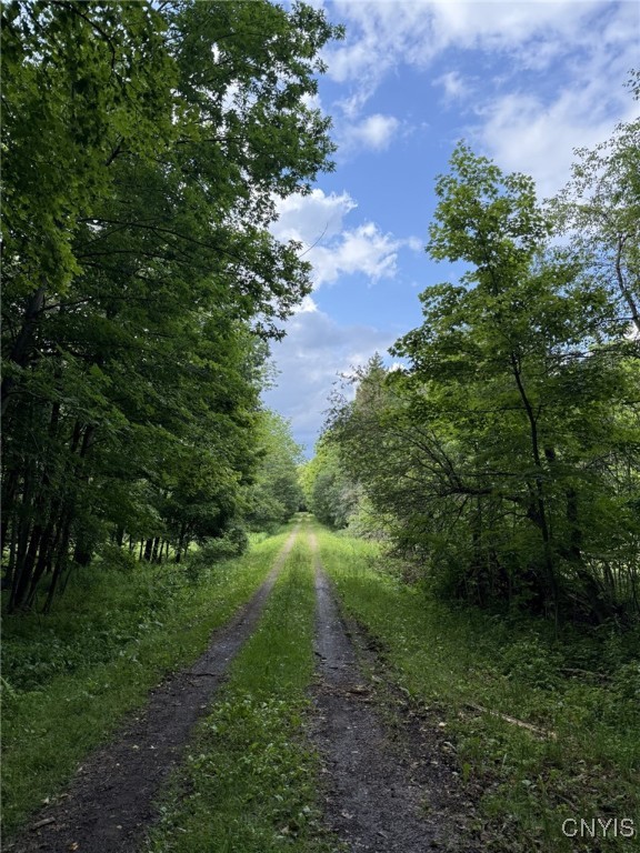 Mooney Gulf Road South Adams, NY 13605 - Photo 11 of 13 Money Gulf Road