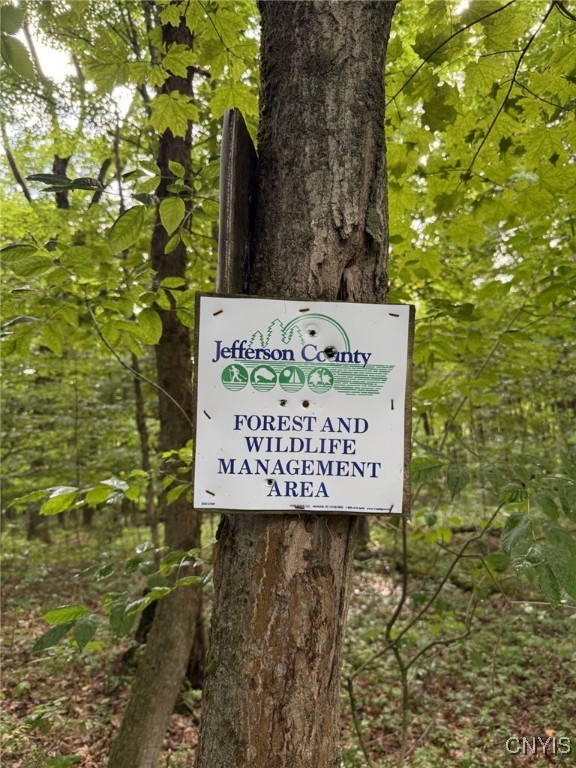 Mooney Gulf Road South Adams, NY 13605 - Photo 13 of 13 Jefferson County NY Wildlife area