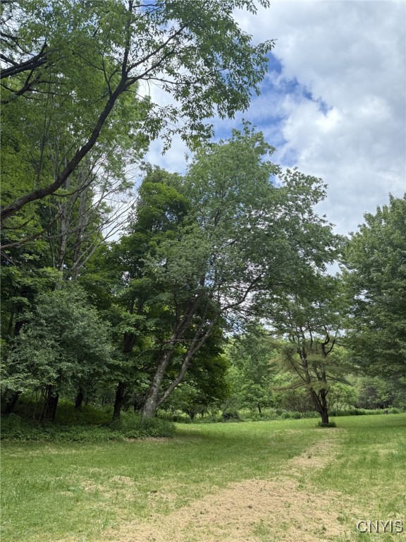 Mooney Gulf Road South Adams, NY 13605 - Photo 3 of 13 Lawn