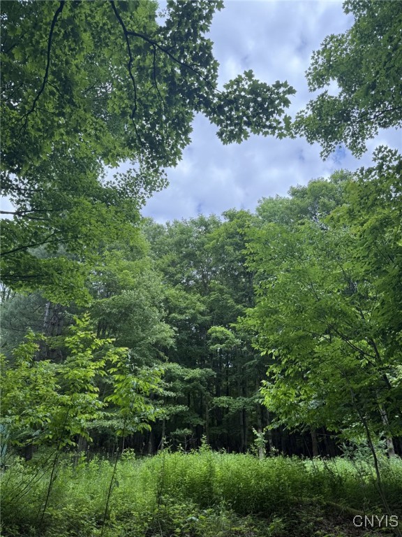 Mooney Gulf Road South Adams, NY 13605 - Photo 4 of 13 Outside