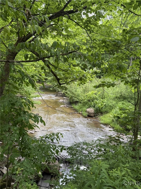 Mooney Gulf Road South Adams, NY 13605 - Photo 8 of 13 Raystone Creek