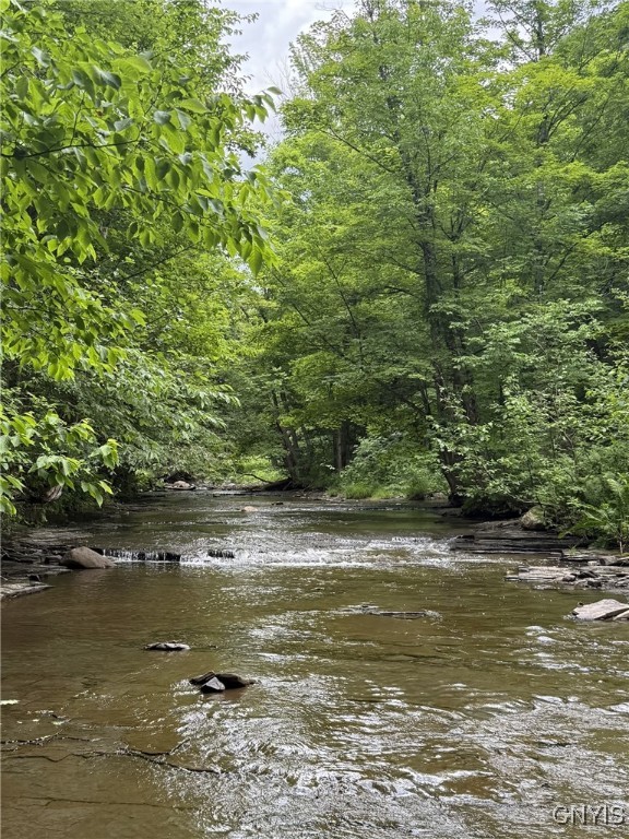 Mooney Gulf Road South Adams, NY 13605 - Photo 9 of 13 Raystone Creek