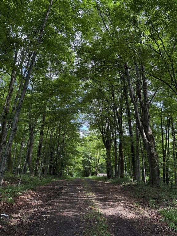 Mooney Gulf Road South Adams, NY 13605 - Photo 10 of 13 Mooney Gulf Road