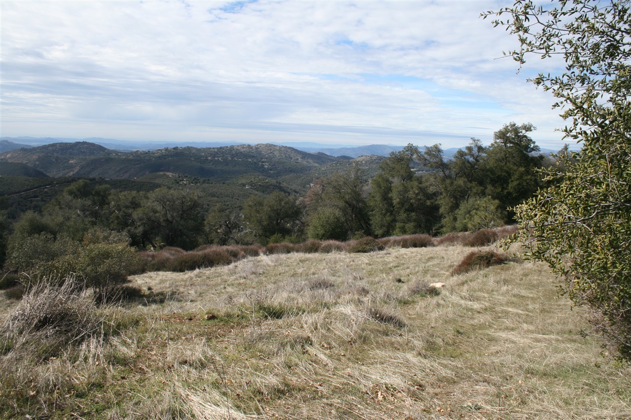 5845 Grandview Road Julian, CA 92036 - Photo 15 of 23