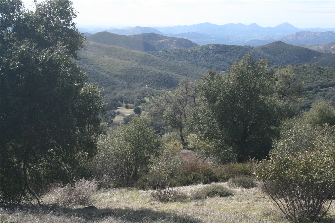 5845 Grandview Road Julian, CA 92036 - Photo 17 of 23