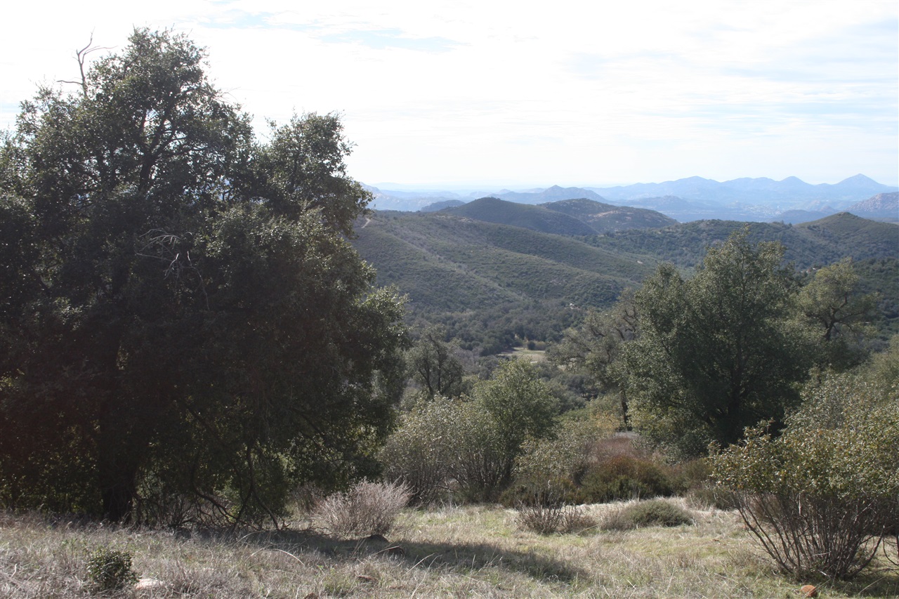 5845 Grandview Road Julian, CA 92036 - Photo 18 of 23