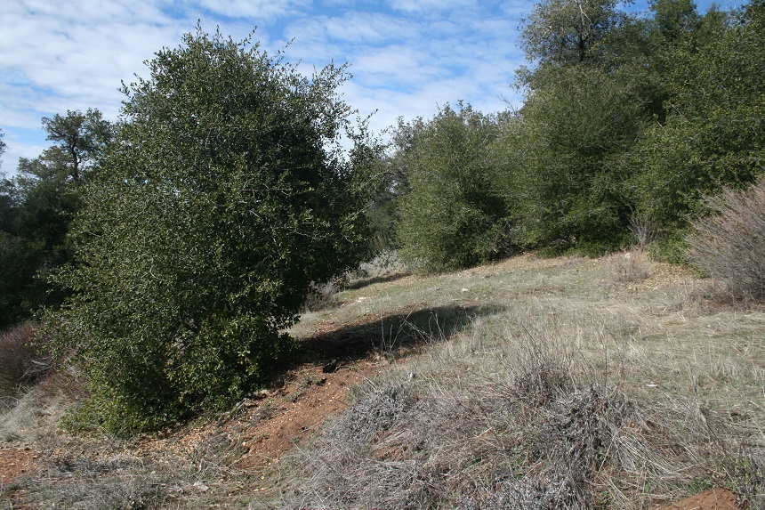 5845 Grandview Road Julian, CA 92036 - Photo 22 of 23