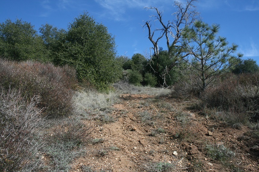 5845 Grandview Road Julian, CA 92036 - Photo 23 of 23