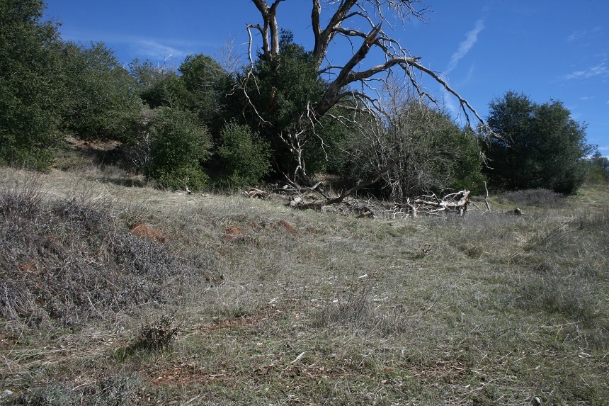 5845 Grandview Road Julian, CA 92036 - Photo 8 of 23