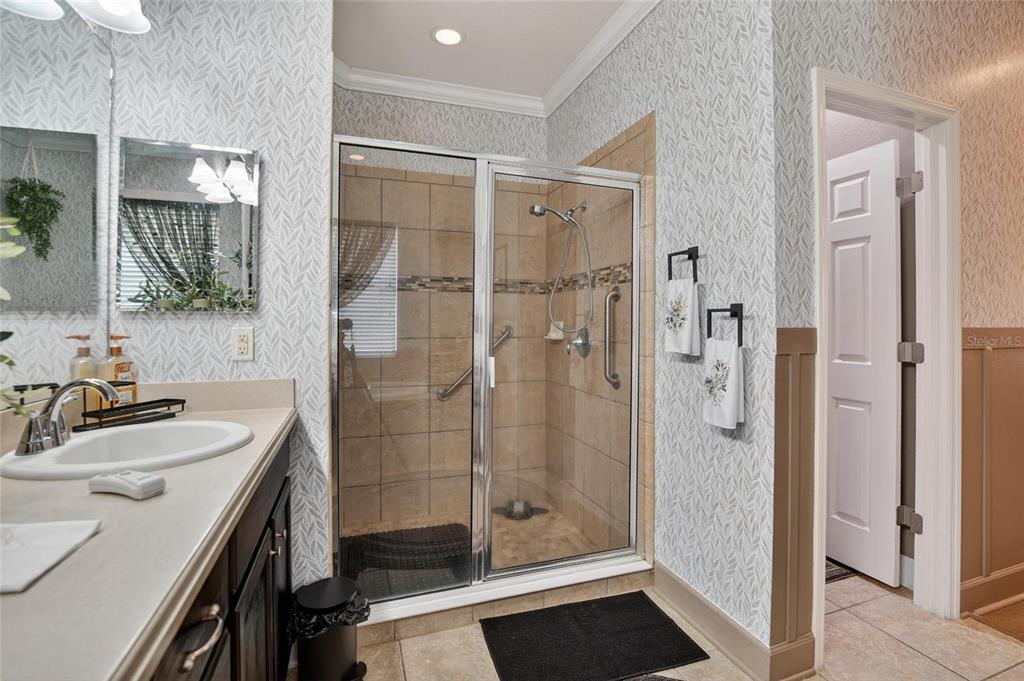 10232 Holland Road Riverview, FL 33578 - Photo 47 of 62