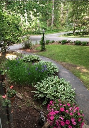 35 Cold Spring Road Westford, MA 01886 - Photo 11 of 31 Gallery Image 11