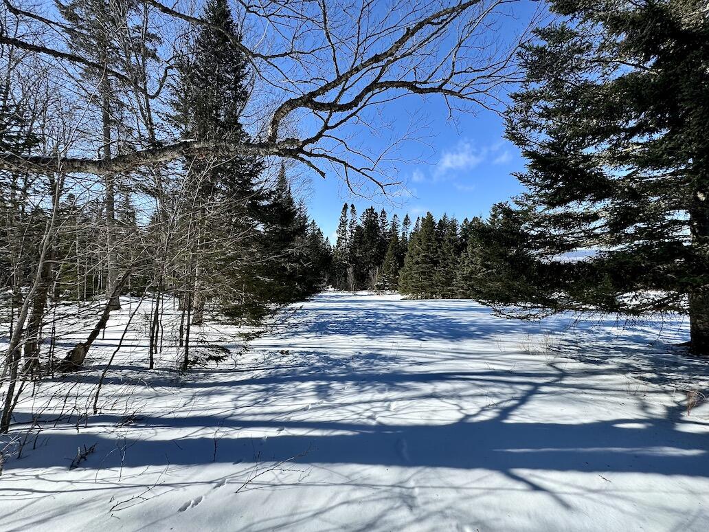 M2-l29 Dallas Hill Road Dallas Plt, ME 04970 - Photo 4 of 14 Old Driveway