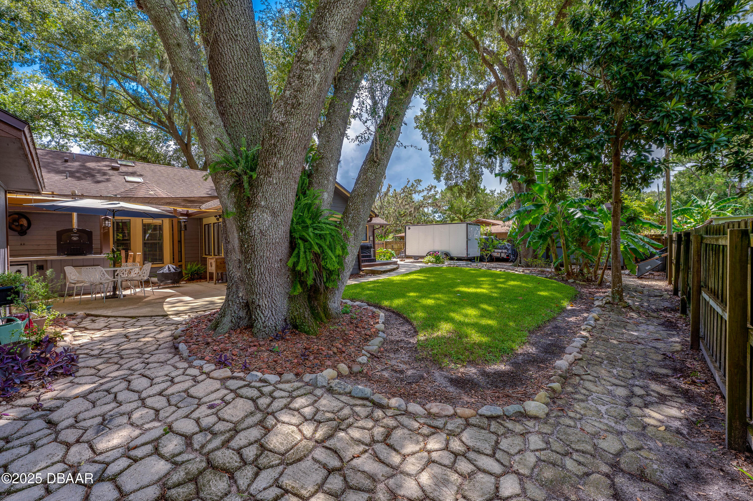 2824 Umbrella Tree Drive Edgewater, FL 32141 - Photo 3 of 36 a view of a yard with plants and a large tree