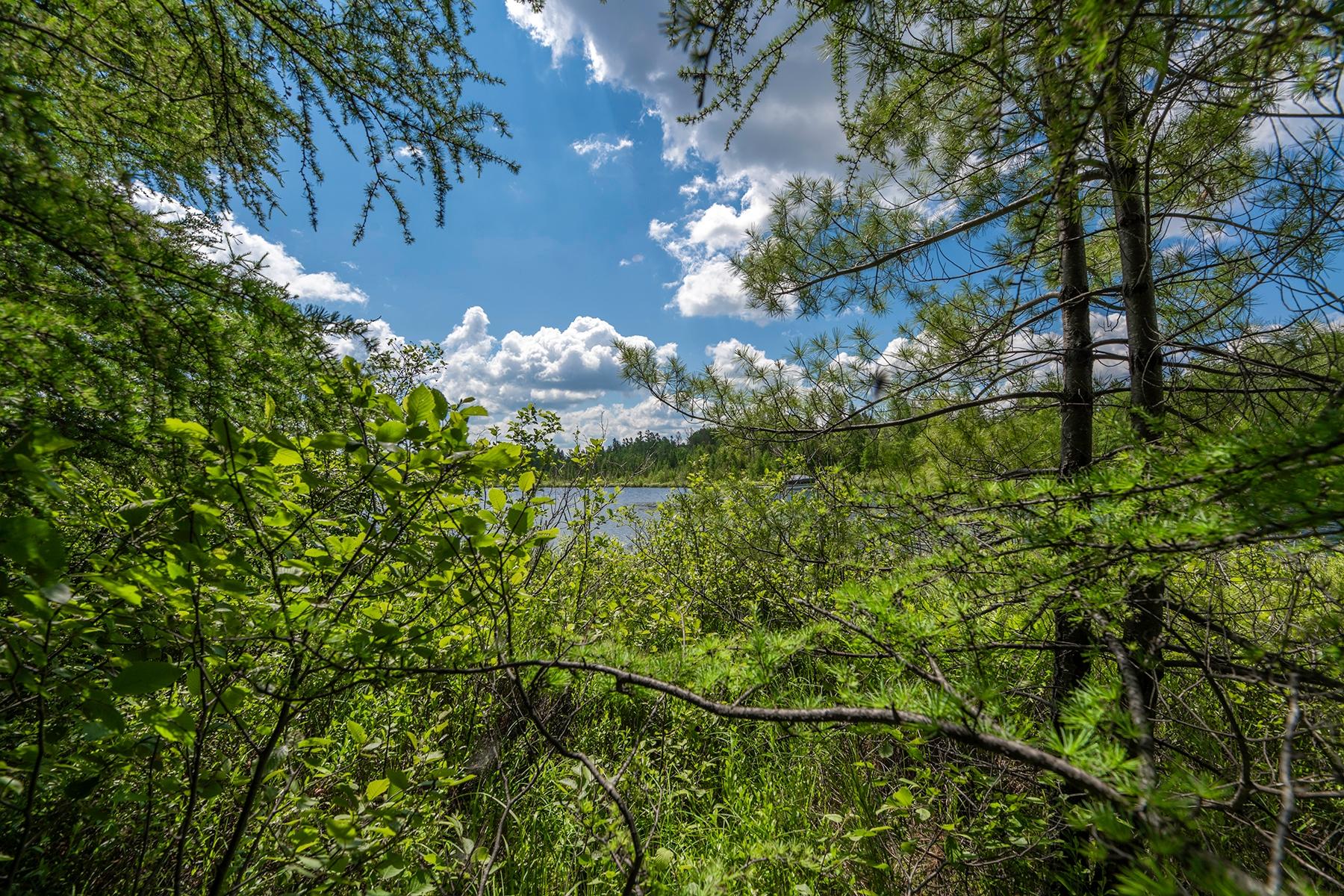 45 Three Lakes, Unit 1 Three Lakes, WI 54562 - Photo 20 of 22 Gallery Image 20