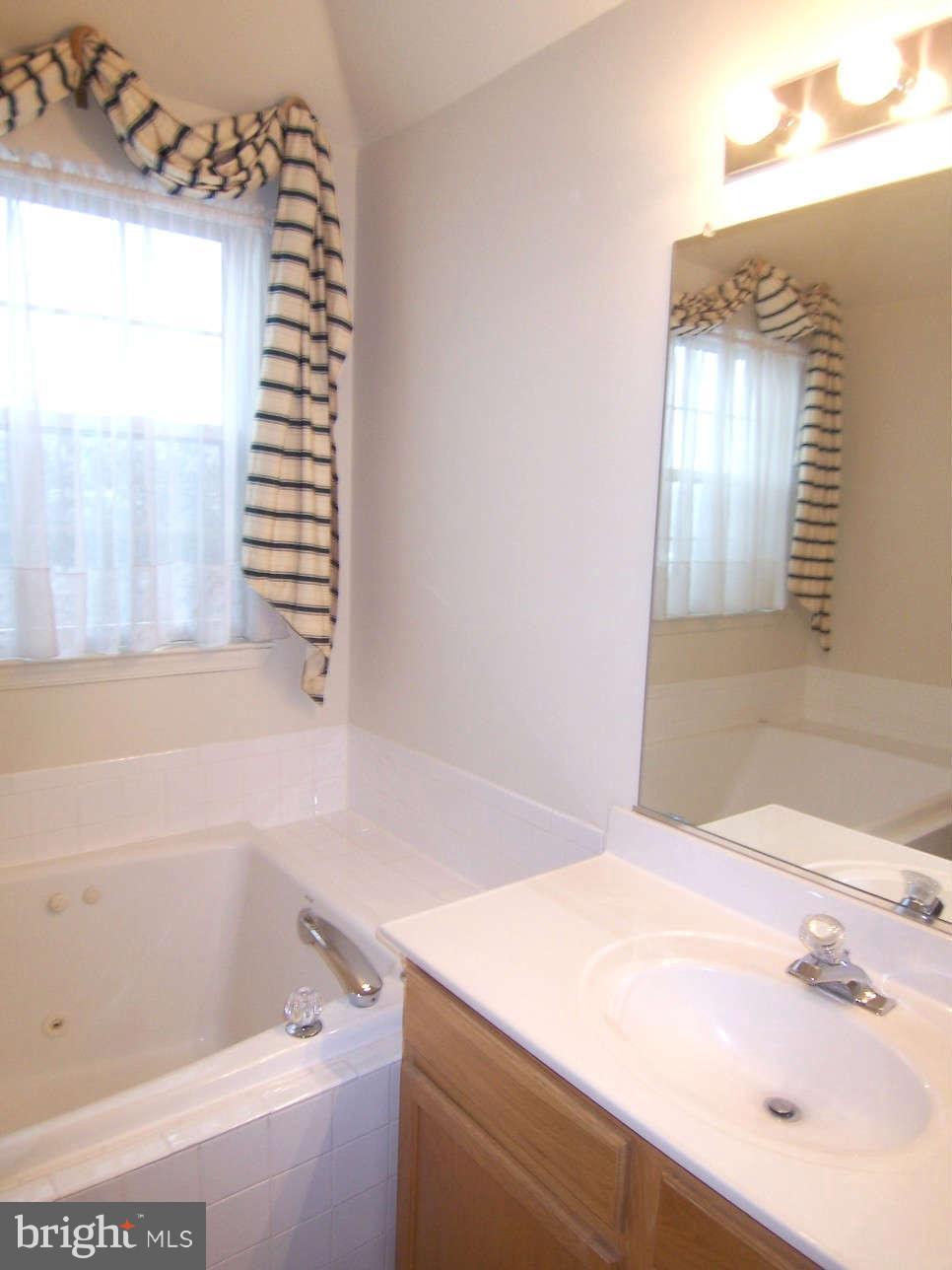 29 Bank Spring Court Owings Mills, MD 21117 - Photo 10 of 16 a bathroom with a sink and a bathtub