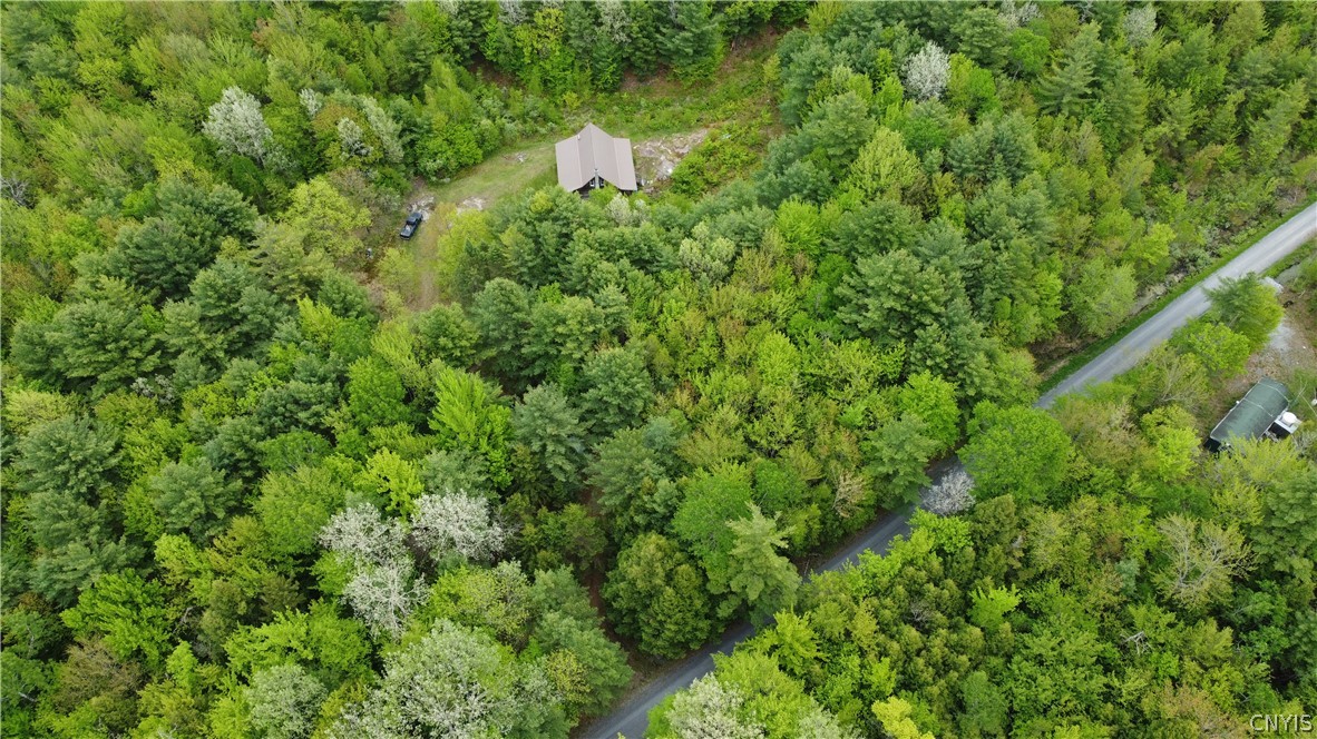 0 Cotton Road Carthage, NY 13619 - Photo 9 of 48