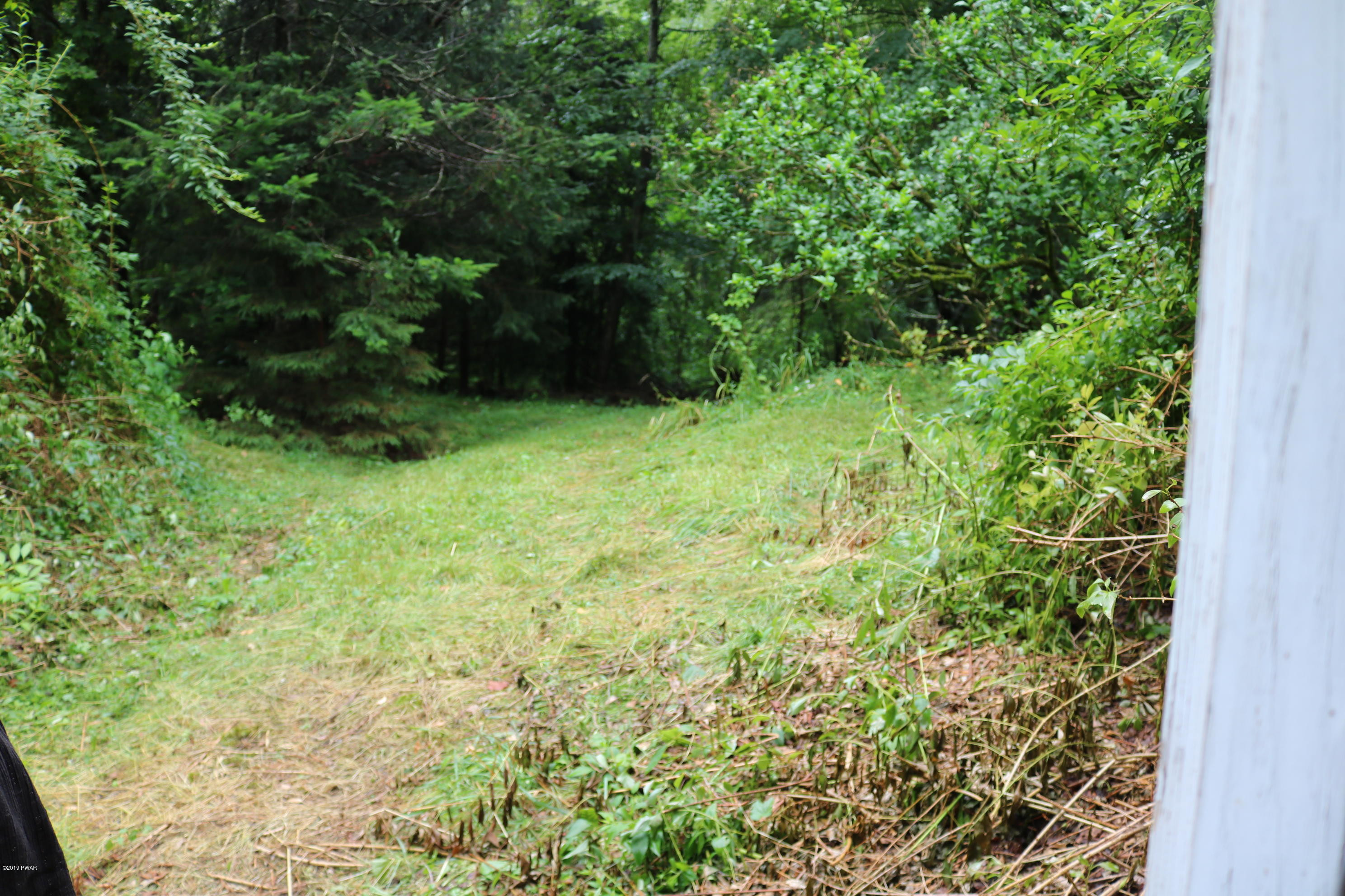 4 Walz Road East Branch, NY 13756 - Photo 15 of 17