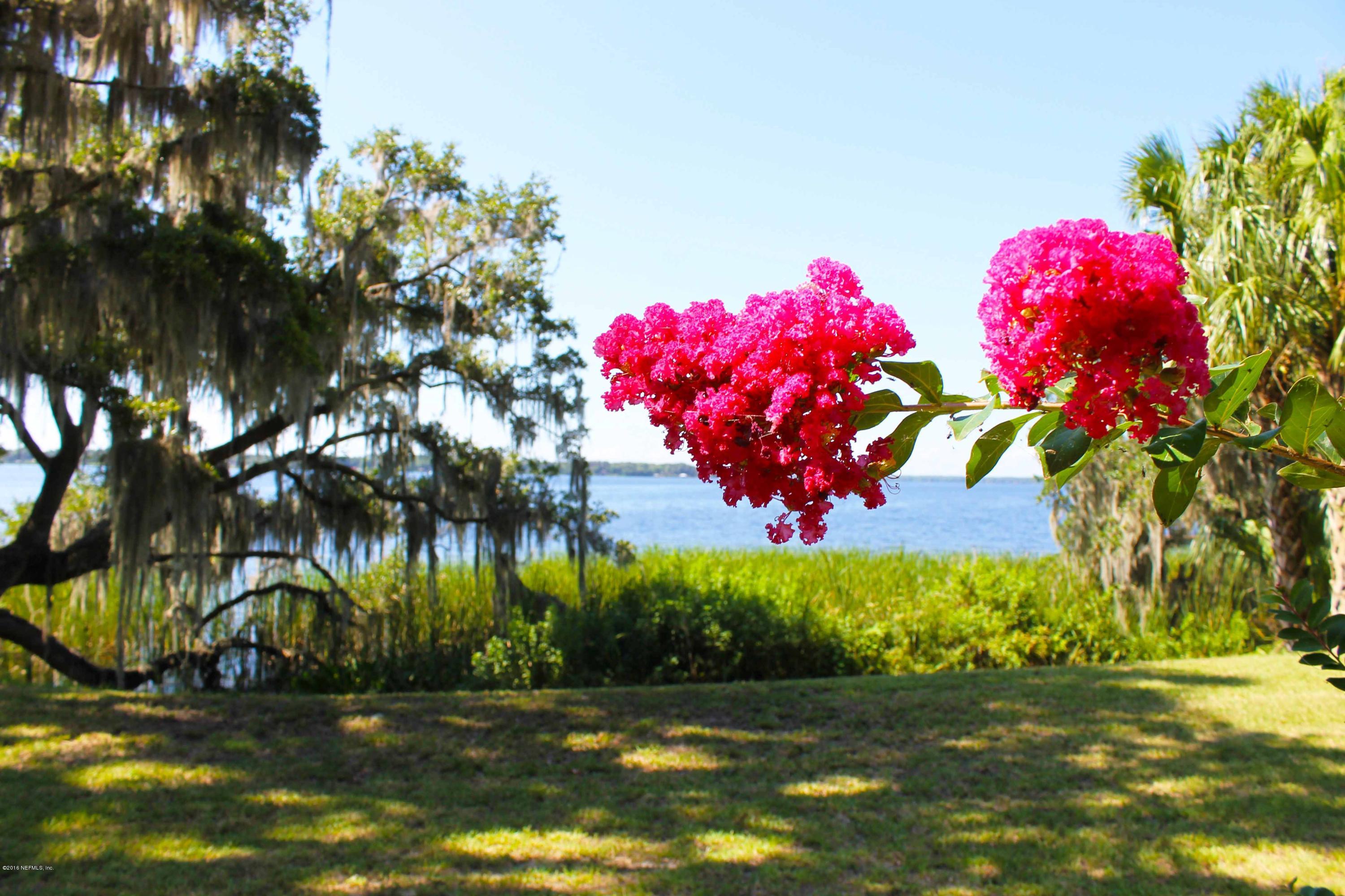 243 West River Road Palatka, FL 32177 - Photo 34 of 47 Natural Beauty