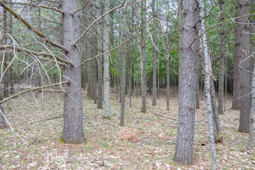 Lot 2 Hill Road Sister Bay, WI 54234 - Photo 11 of 35