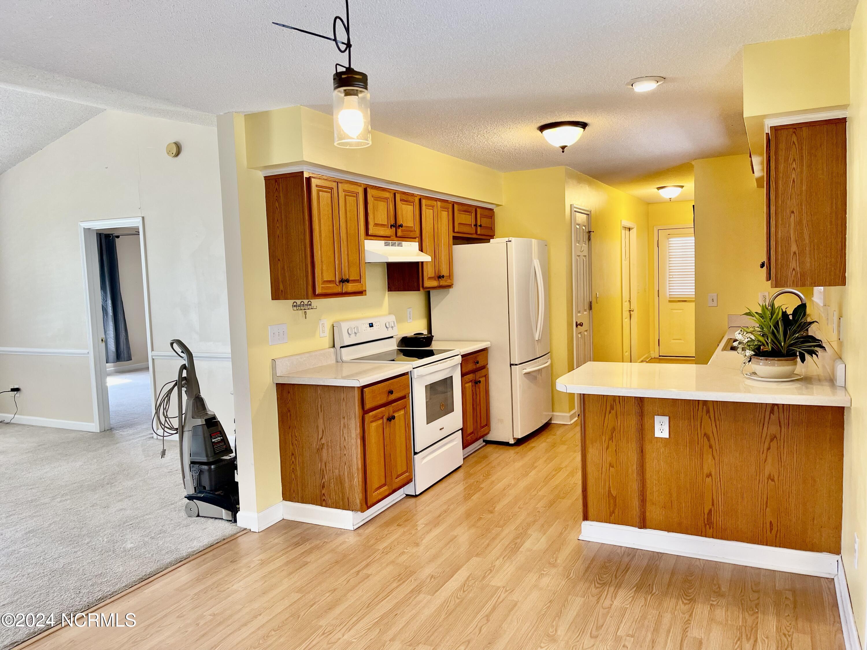 221 Farmstead Court Rockingham, NC 28379 - Photo 8 of 22 kitchen