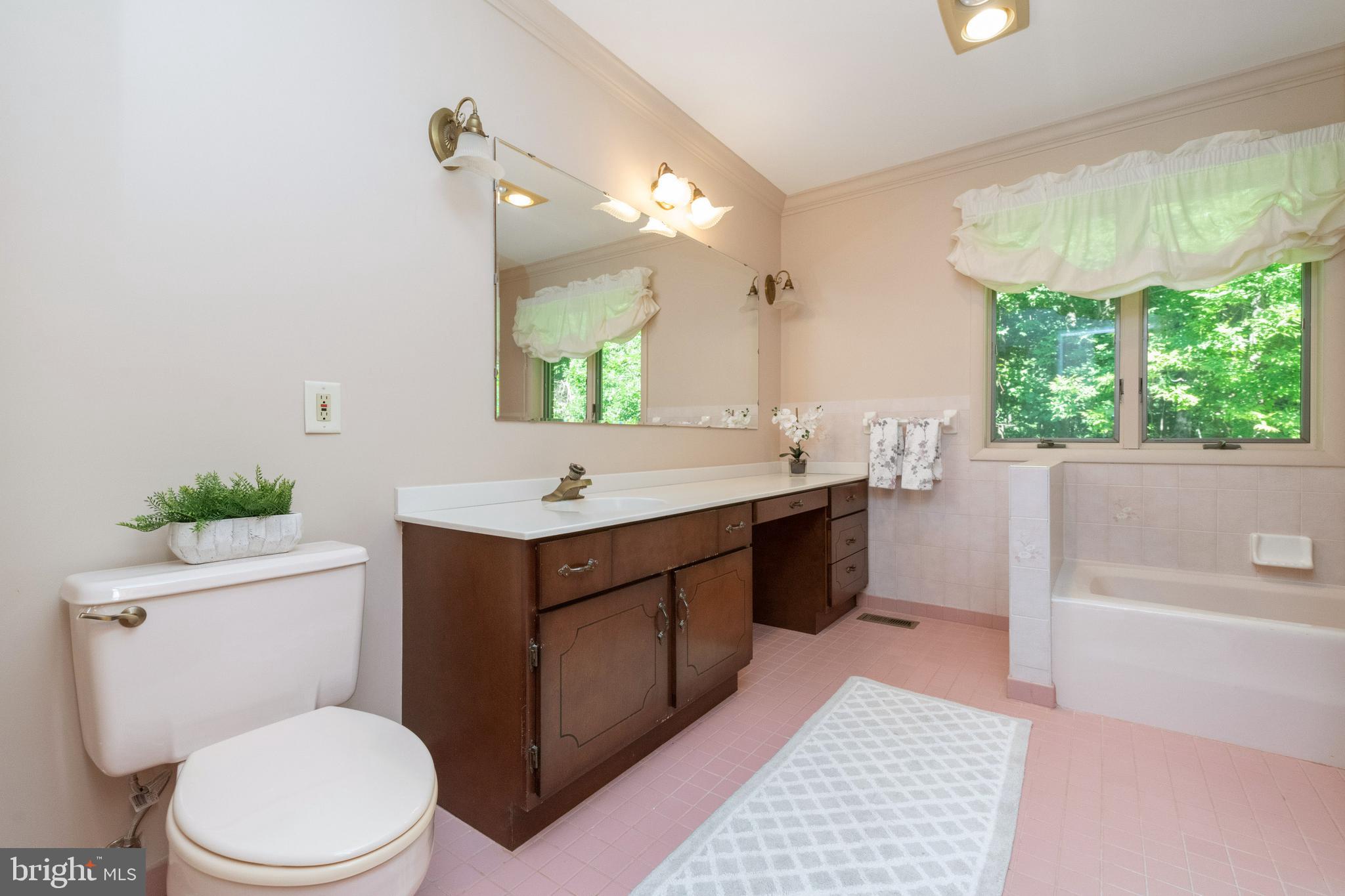13806 Cripplegate Road Phoenix, MD 21131 - Photo 39 of 63 Huge Hall Bathroom