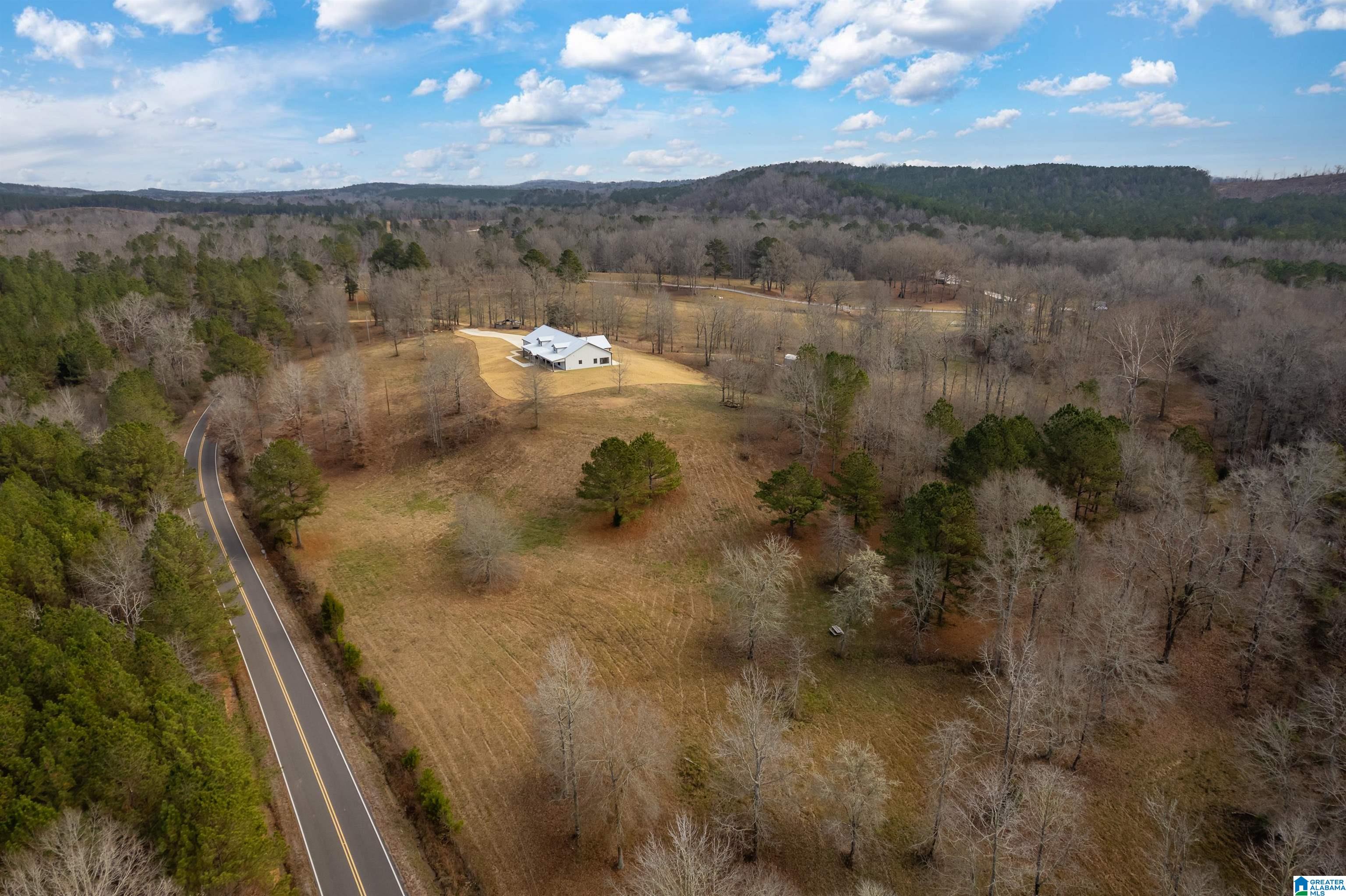 674 Dry Creek Road Cropwell, AL 35054 - Photo 46 of 49