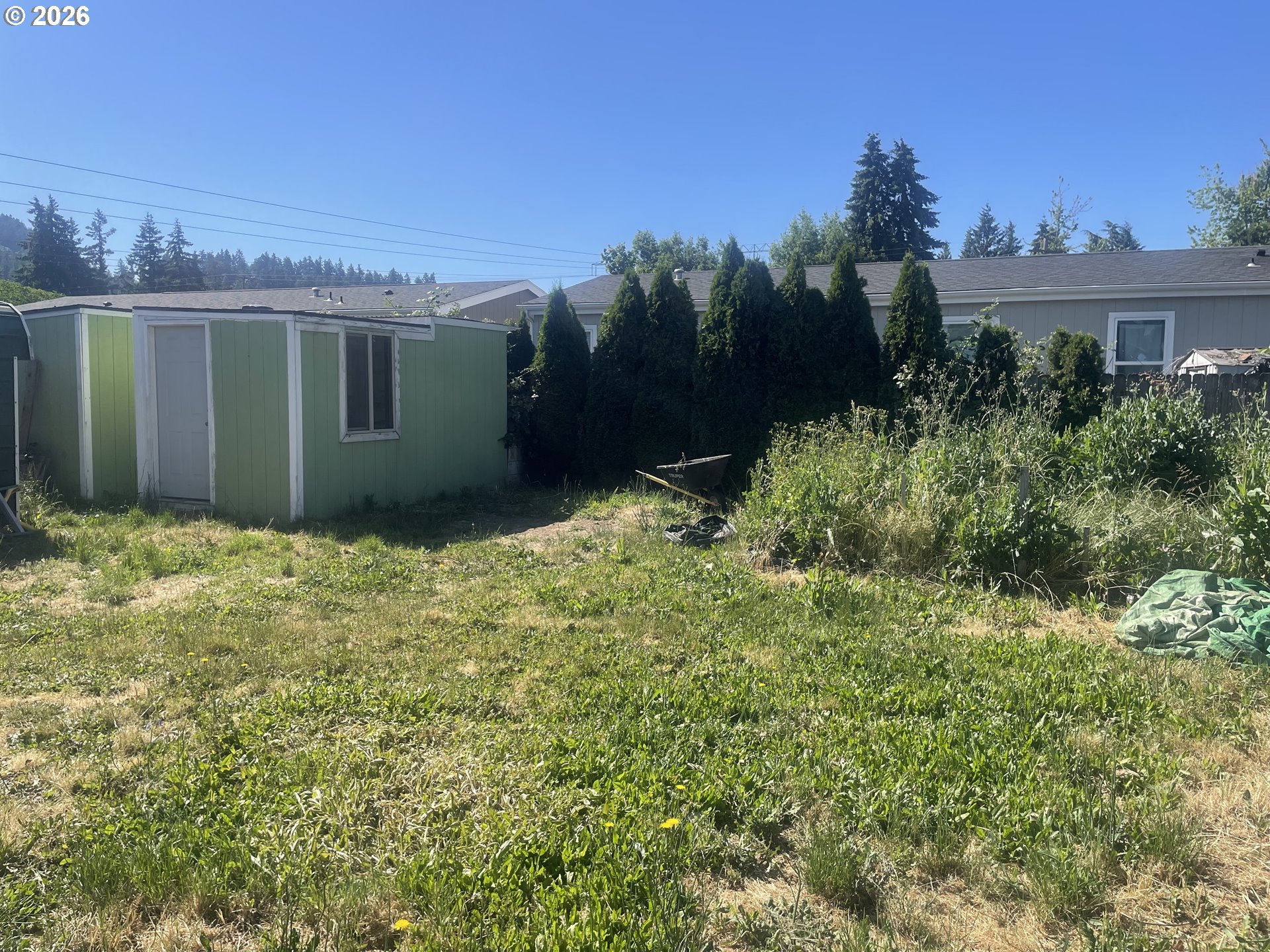 5593 B Street Springfield, OR 97478 - Photo 11 of 19