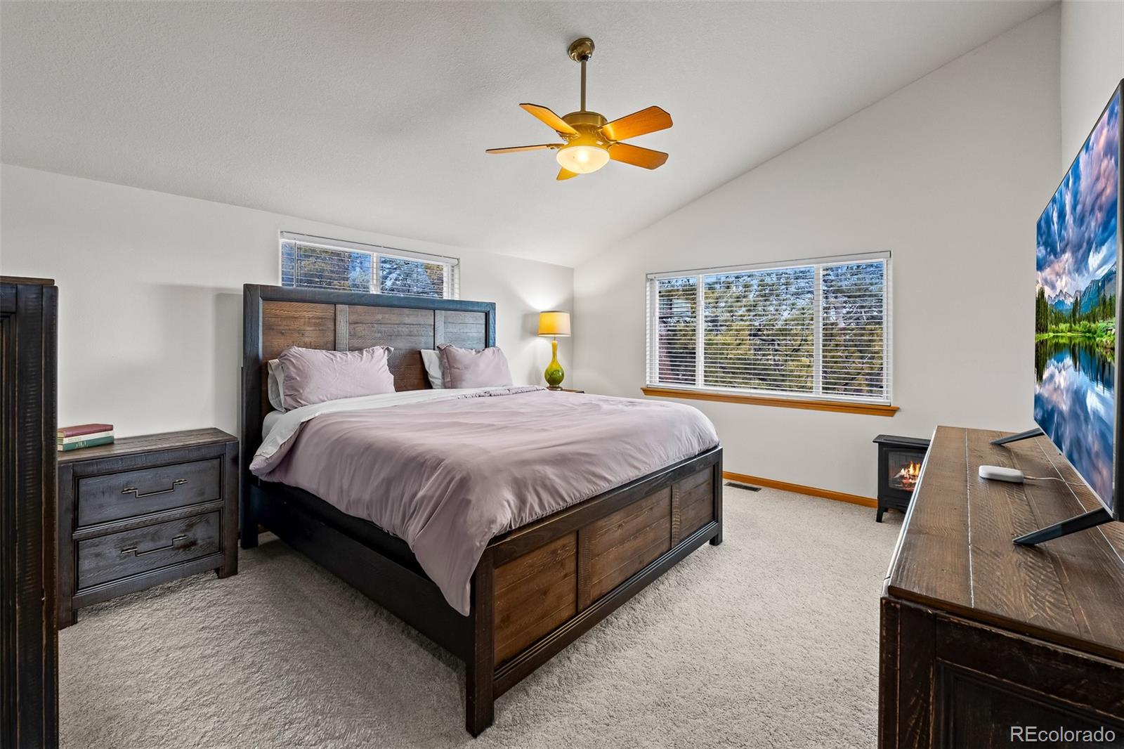 840 Wagon Wheel Road Hartsel, CO 80449 - Photo 19 of 39 Gallery Image 19