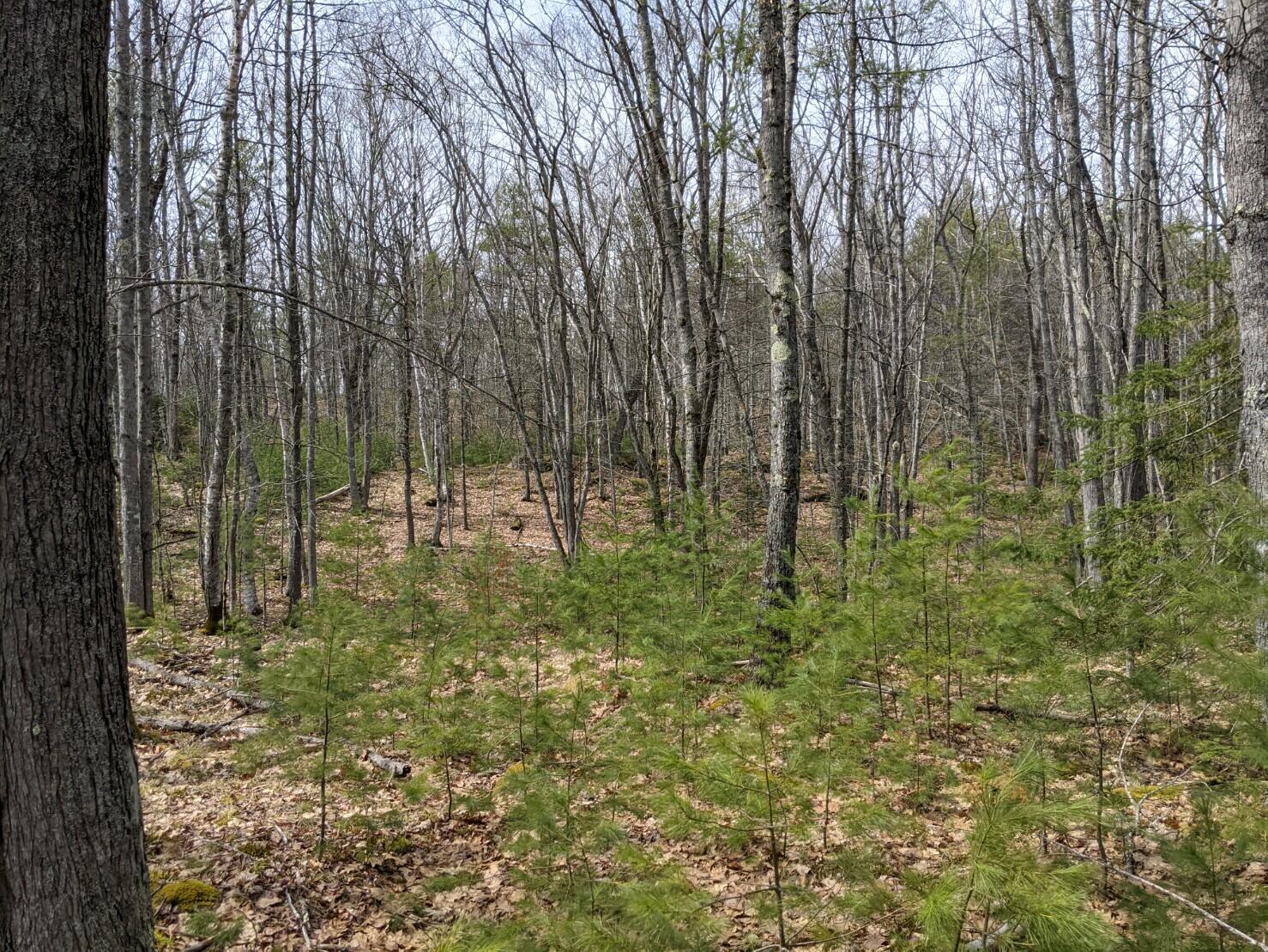 0 Arrowsic Road Bath, ME 04530 - Photo 6 of 12